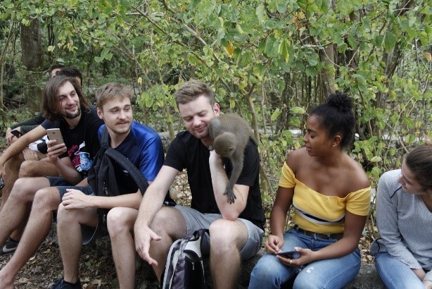 獼猴4
